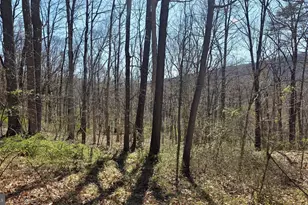 9206 Barkleys Ln, Huntingdon, PA 16652 - Photo 76