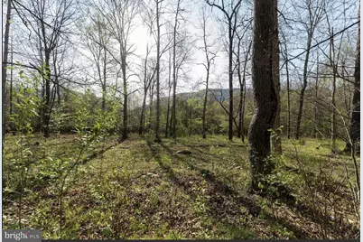 11016 Colt Drive, Shade Gap, PA 17255 - Photo 18