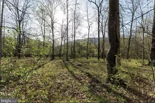 11016 Colt Dr, Shade Gap, PA 17255 - Photo 18