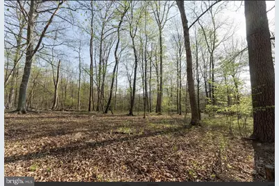 11016 Colt Drive, Shade Gap, PA 17255 - Photo 16