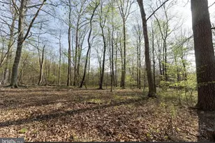 11016 Colt Dr, Shade Gap, PA 17255 - Photo 16