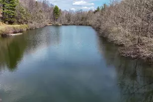 11907 Colyer Ln, Shade Gap, PA 17255 - Photo 68