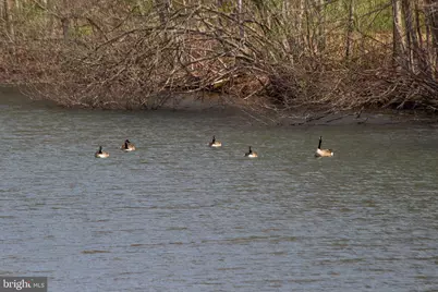 11907 Colyer Lane, Shade Gap, PA 17255 - Photo 66