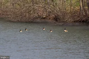 11907 Colyer Ln, Shade Gap, PA 17255 - Photo 66