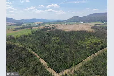 Tract 2: 43.15+/- Acres Union Furnace Rd, Tyrone, PA 16686 - Photo 2
