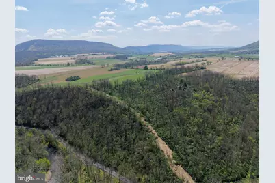 Tract 2: 43.15+/- Acres Union Furnace Rd, Tyrone, PA 16686 - Photo 4