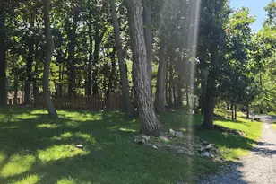 13264 Rosenberry Ln, Hesston, PA 16647 - Photo 8