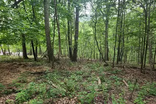 13264 Rosenberry Ln, Hesston, PA 16647 - Photo 42