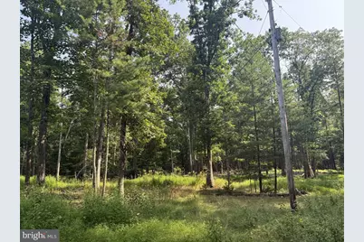 10880 Pine Thistle Road, Huntingdon, PA 16652 - Photo 2