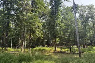 10880 Pine Thistle Rd, Huntingdon, PA 16652 - Photo 2