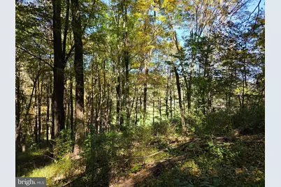 15321 Blacklog Valley Road, Orbisonia, PA 17243 - Photo 40