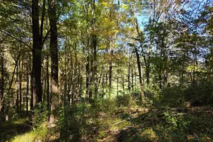 15321 Black Log Vly Rd, Orbisonia, PA 17243 - Photo 40