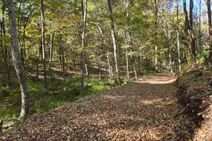 15321 Black Log Vly Rd, Orbisonia, PA 17243 - Photo 12