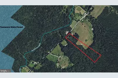 15321 Blacklog Valley Road, Orbisonia, PA 17243 - Photo 54