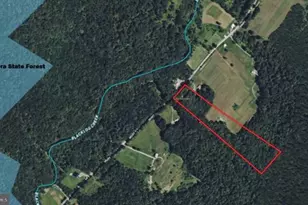 15321 Black Log Vly Rd, Orbisonia, PA 17243 - Photo 54