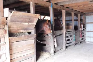 171 Gaul Rd, Port Royal, PA 17082 - Photo 34