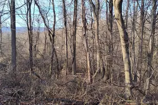 1339 Spruce Hill Rd, Port Royal, PA 17082 - Photo 22