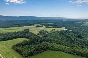 729 729 Gloss Rd, Honey Grove, PA 17035 - Photo 6