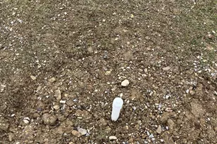 814 Cemetary Rd, Thompsontown, PA 17094 - Photo 48