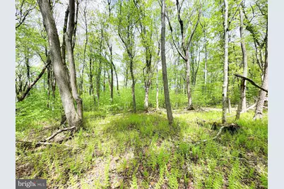 0 Over Hill Road, Thompsontown, PA 17094 - Photo 16