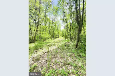 0 Over Hill Road, Thompsontown, PA 17094 - Photo 6