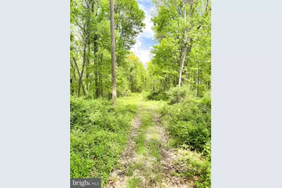 0 Over Hill Road, Thompsontown, PA 17094 - Photo 4