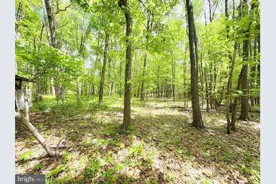 0 Over Hill Road, Thompsontown, PA 17094 - Photo 12