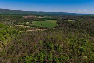 2582 Middle Rd, Honey Grove, PA 17035 - Photo 52