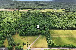 1016 Flint Hollow Rd, Honey Grove, PA 17035 - Photo 42