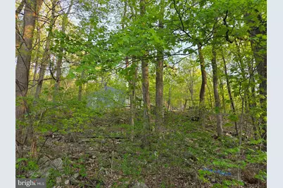 491 Wild Area Lane, Thompsontown, PA 17094 - Photo 40