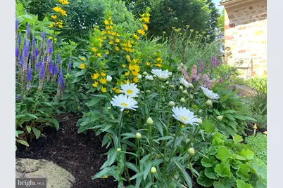 335 N Clay Road, Lititz, PA 17543 - Photo 136