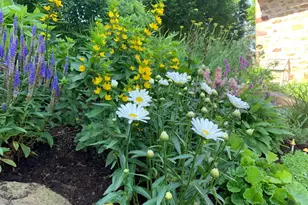 335 N Clay Rd, Lititz, PA 17543 - Photo 136