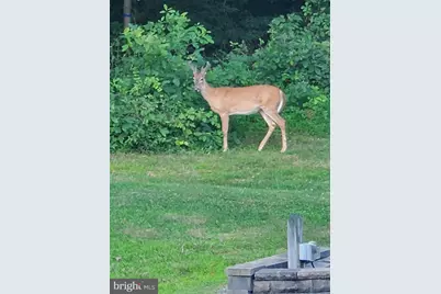 208 Foxcroft Lane, Robesonia, PA 19551 - Photo 70