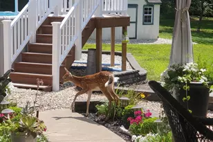 208 Foxcroft Ln, Robesonia, PA 19551 - Photo 62