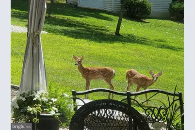 208 Foxcroft Lane, Robesonia, PA 19551 - Photo 64