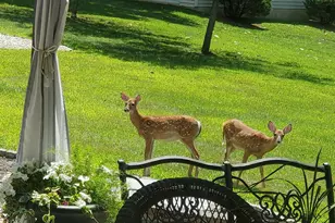 208 Foxcroft Ln, Robesonia, PA 19551 - Photo 64