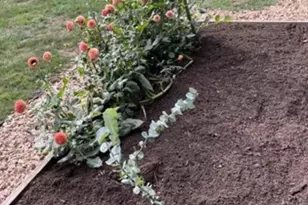 1022 Elwood St, Narvon, PA 17555 - Photo 16