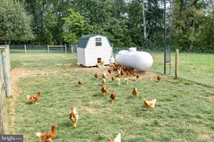 425 Mill Creek Rd, Bird in Hand, PA 17505 - Photo 58