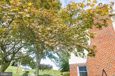 425 Mill Creek Road, Bird in Hand, PA 17505 - Photo 100