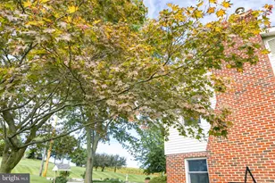 425 Mill Creek Rd, Bird in Hand, PA 17505 - Photo 100