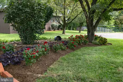 425 Mill Creek Road, Bird in Hand, PA 17505 - Photo 36