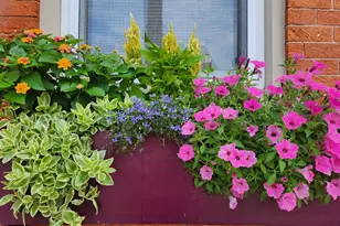 37 N Charlotte St, Lancaster, PA 17603 - Photo 60