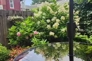 37 N Charlotte St, Lancaster, PA 17603 - Photo 50