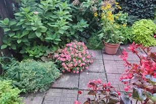 37 N Charlotte St, Lancaster, PA 17603 - Photo 66