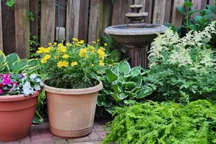 37 N Charlotte St, Lancaster, PA 17603 - Photo 28