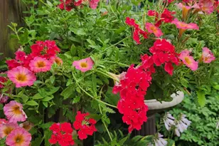 37 N Charlotte St, Lancaster, PA 17603 - Photo 52