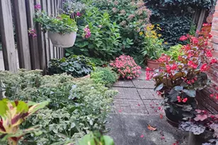 37 N Charlotte St, Lancaster, PA 17603 - Photo 64