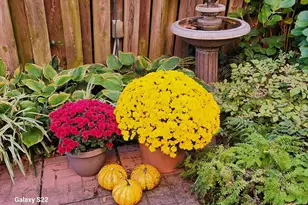 37 N Charlotte St, Lancaster, PA 17603 - Photo 92