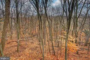 304 Treetops Ct, Lancaster, PA 17601 - Photo 42