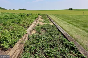 253 Meetinghouse Rd, Gap, PA 17527 - Photo 62